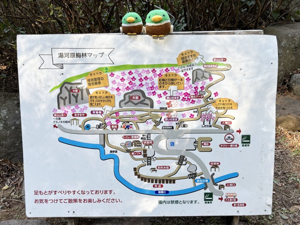 幕山公園1
